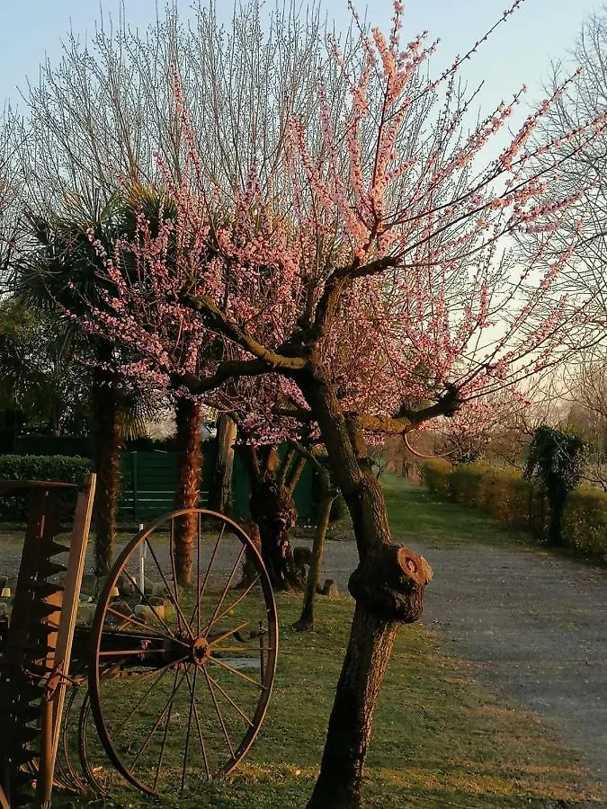 Farm stay Agriturismo Praetto Villa Marcon